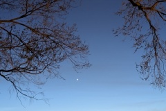 Waxing Crescent Moon from Campground in Raton, NM, Venus is the star below it
