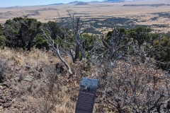 Winds of Change: carried seeds and bent the tree trunks, then and now