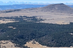 Closer up, lots of trees
