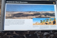 Shortgrass prairie and mountain forest meet here and transition between two different ecosystems.