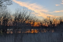PXL_20260223_001357670