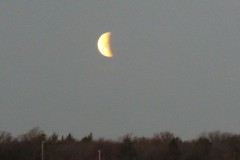 Now it's getting lower over the treetops, the sky is getting lighter