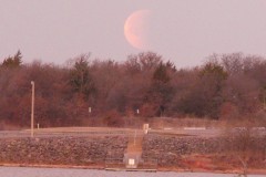 The moon is fading more and almost behind the trees.