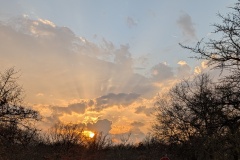 Setting Sun