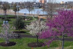 Scissortail Park