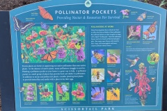 Pollinator Pockets