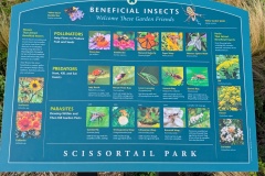 Beneficial Insects