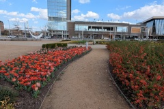 Flowers leading to the Convention Center