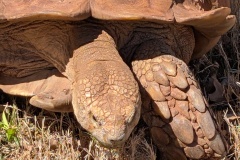 Close up
