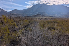 Chisos Mountains to the east
