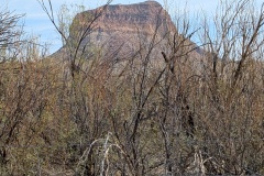 Heading west toward Santa Elena Canyon