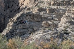 Closeup view of the path, this is the beginning of the trail.