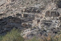 Another view of the path