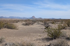 Heading back to Castolon, Cerro Castellan Butte in the center