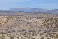 Mountains in the distance