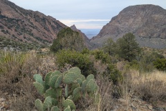 In Chisos Basin, starting up the trail