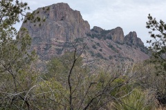 View to side of trail