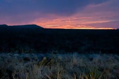 Goodnight, Sunset! Thanks.