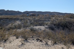PXL_20260214_222444151