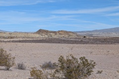 PXL_20260215_190427618