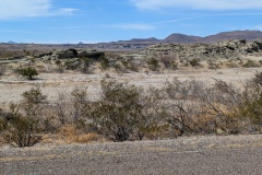 PXL_20260215_195137982
