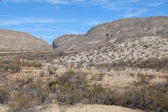 PXL_20260215_202208698