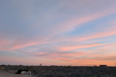 PXL_20260217_004247569