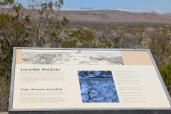 There is a lot of Invisible Wildlife - especially in summer when temps reach 150F!