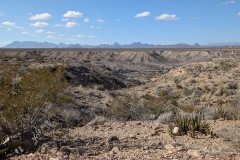 Beautiful drive along Grapevine Hills Rd., lots of varying landscape formed by floods, rough road