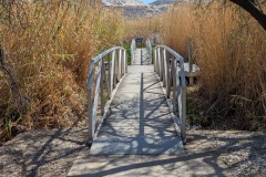 Walking on a Nature Trail through the grasslands around the river