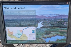 So many wildlife creatures along the Rio Grande River. Birds, beavers, fish, turtles, etc.