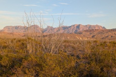 View of the Chisos Mountains from the western side of BB, near my RV park. Sun is setting.