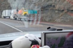 PXL_20260106_191359259-scaled