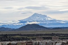 Mt. Shasta