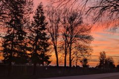 Sunset in Bakersfield, CA
