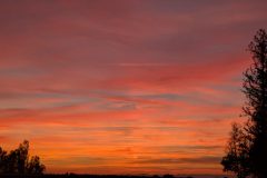 Full sky view
