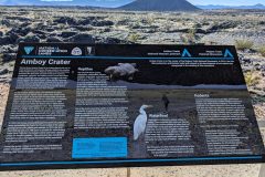 Amboy Crater History