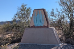 This is the iconic picture of the Organ Pipe Cactus