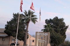 Rovers Roost - Escapees Co-op RV Park in Casa Grande