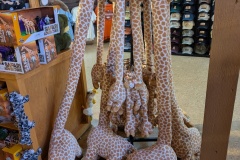 Gift Shop